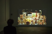 Depot Fiona Tan@Philippe De Gobert